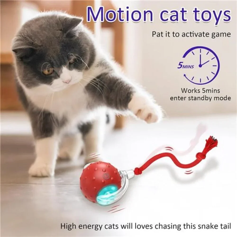 Interactive Cat Toys Ball Fast Rolling on Carpet Chirping & Motion Activated
